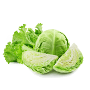 Lettuce & Cabbage