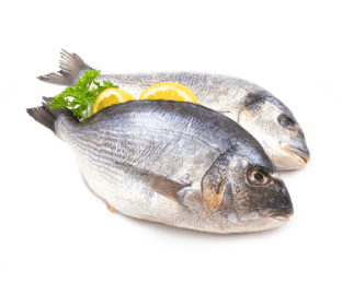 Fish & Sea Food