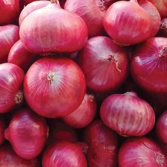 Onions - www.ahmarket.com