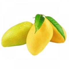 Mango Kesari India 500g