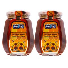 Golden Choice Natural Honey 2X500g