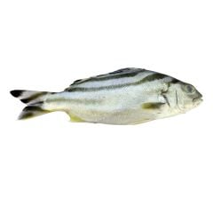 Keeran Fish 500g