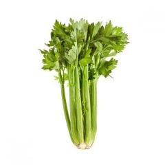 Celery Spain 500g